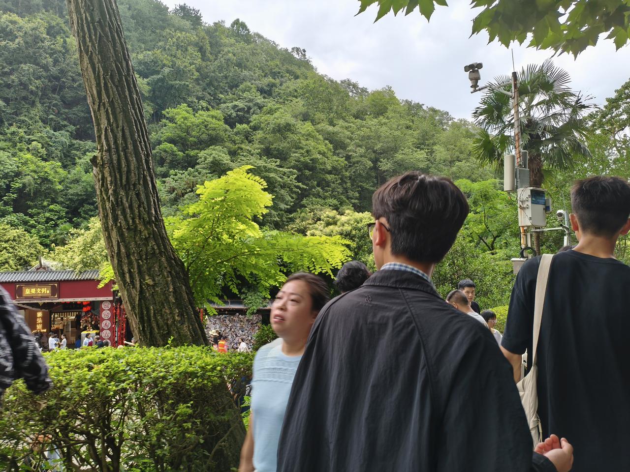 茅台一夜入寒冬
千亿企业破碎
茅台股价必跌到500