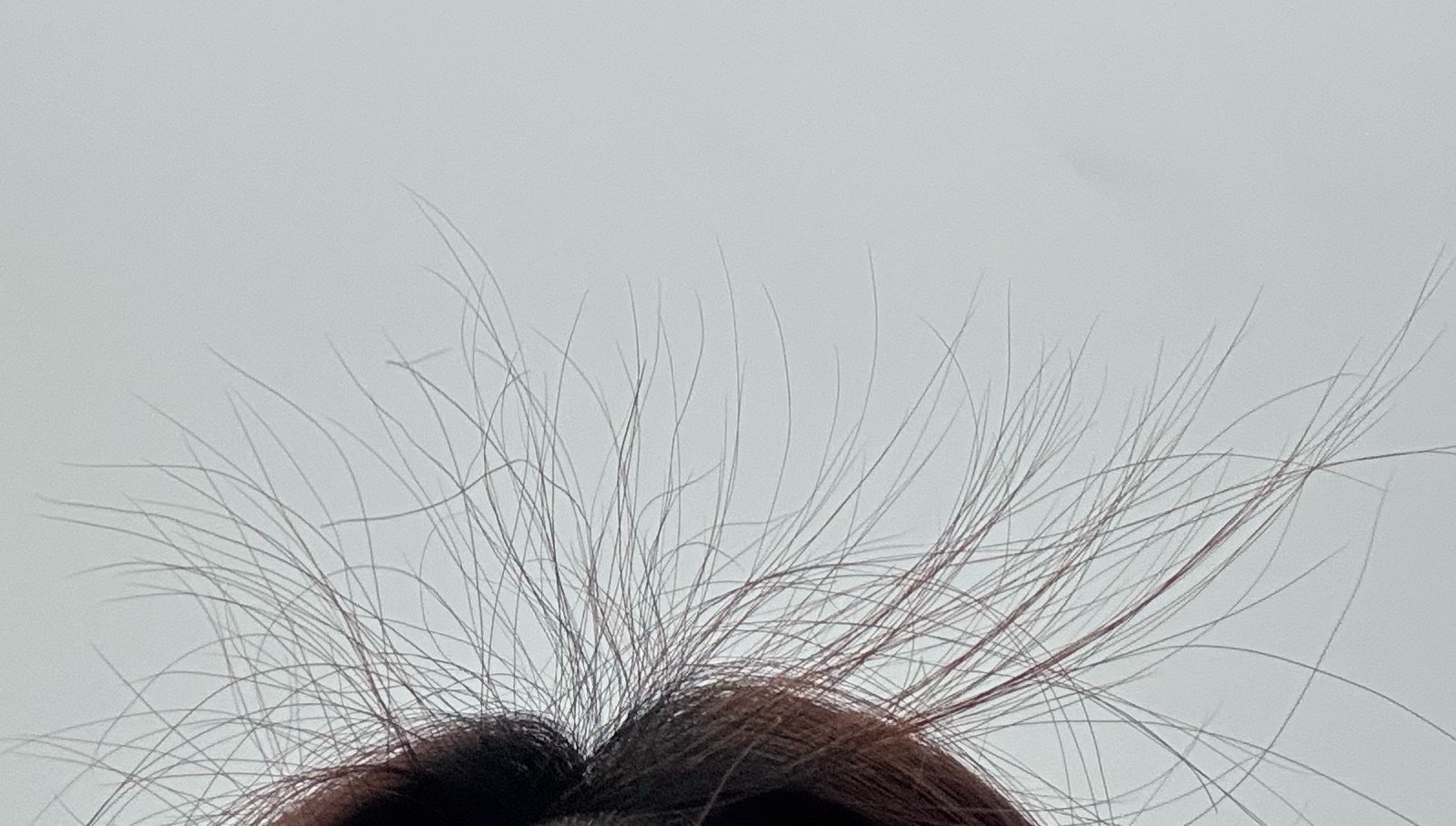 每次洗完头发，我前面这几根毛总是会不听话的翘起来，让别人误以为我是不是被什么东西