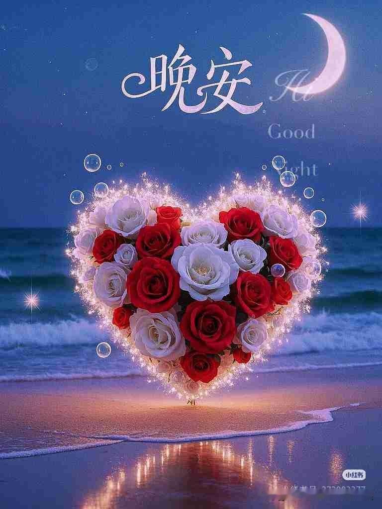 我的今日状态：😁轻松愉快
我这里的天气：☀️晴天
夜色慢慢安静下来了，忙碌了一