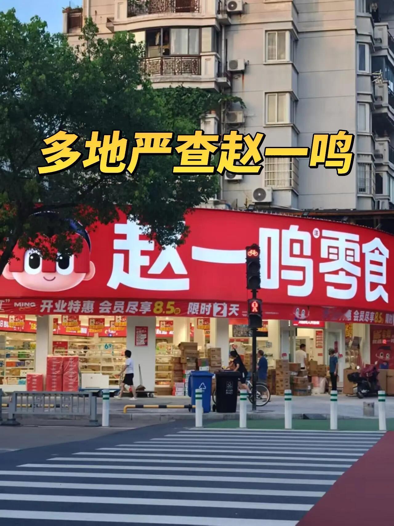 你瞅街角那阵仗——赵一鸣、 好想来，零食折扣店跟下了场雨的蘑菇似的，十字路口好位