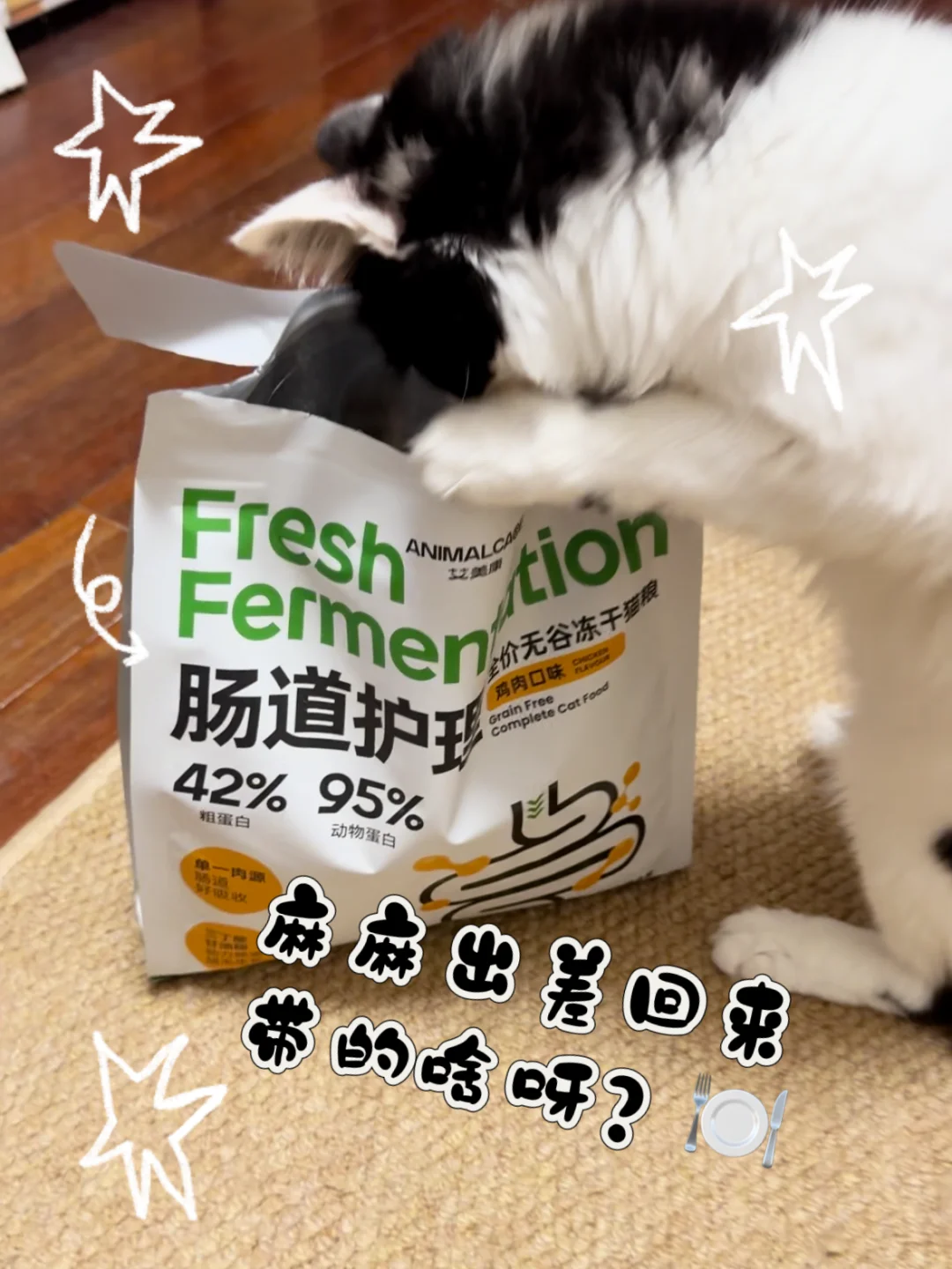 养了猫才知道拉好粑粑是多重要的事情！！！