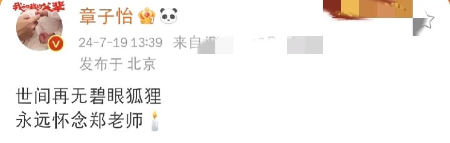 章子怡，发文悼念！

7月19日，久未露面的章子怡在社交平台发动态，虽然她的文案