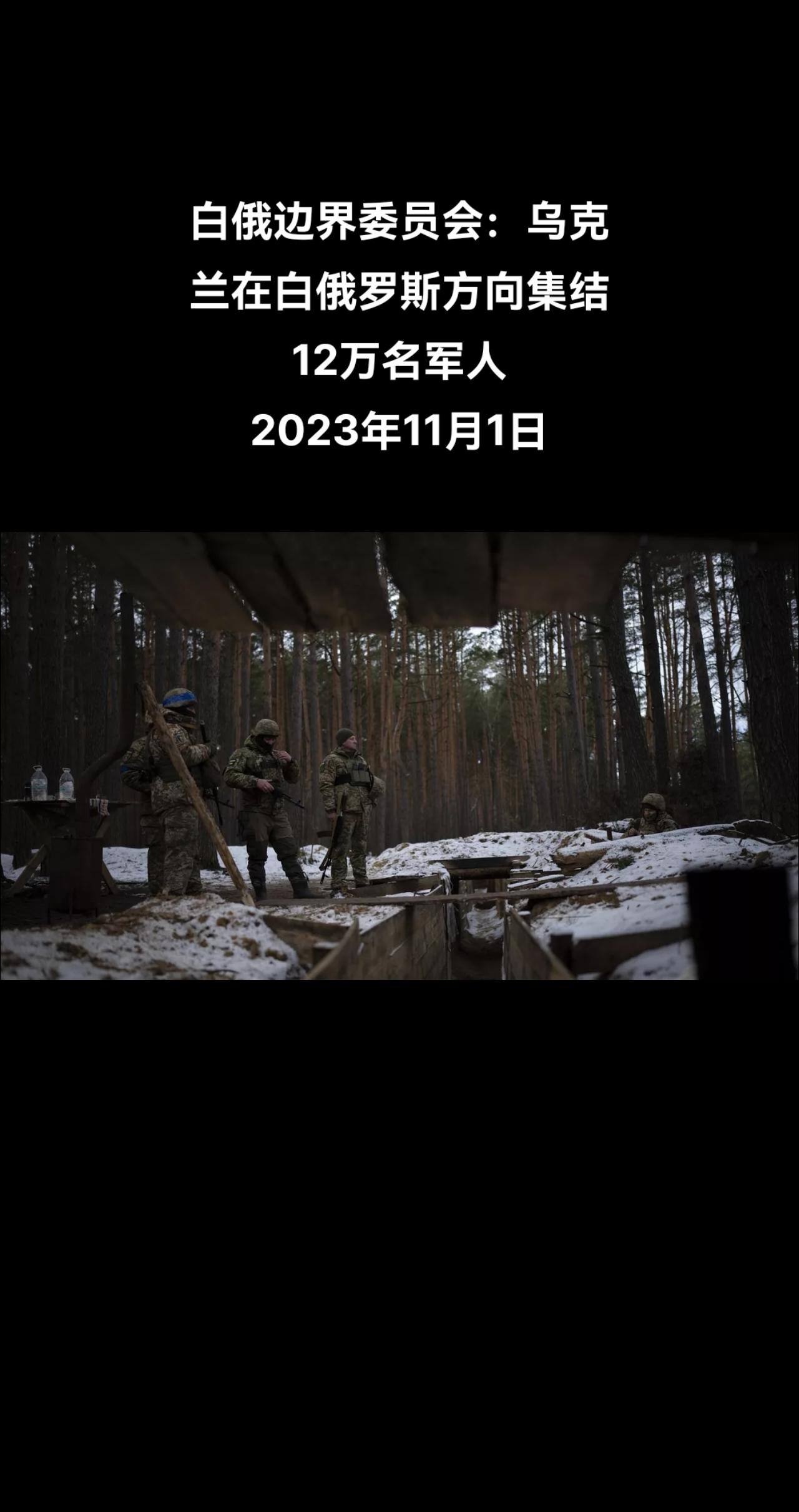 俄罗斯卫星通讯社明斯克11月1日电 白俄罗斯国家边界委员会主席康斯坦丁∙莫洛斯托