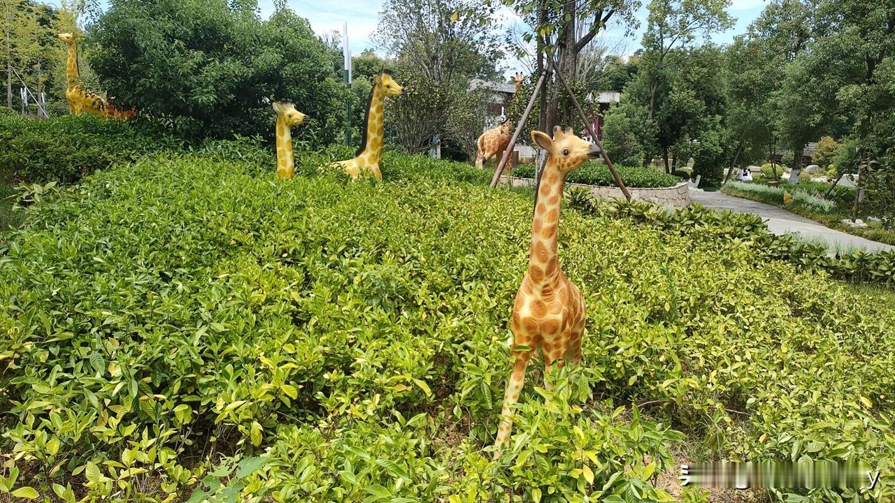 公园一角
 
公园里，几座长颈鹿雕塑藏在茂密绿植间。它们形态各异，有的探出长脖子