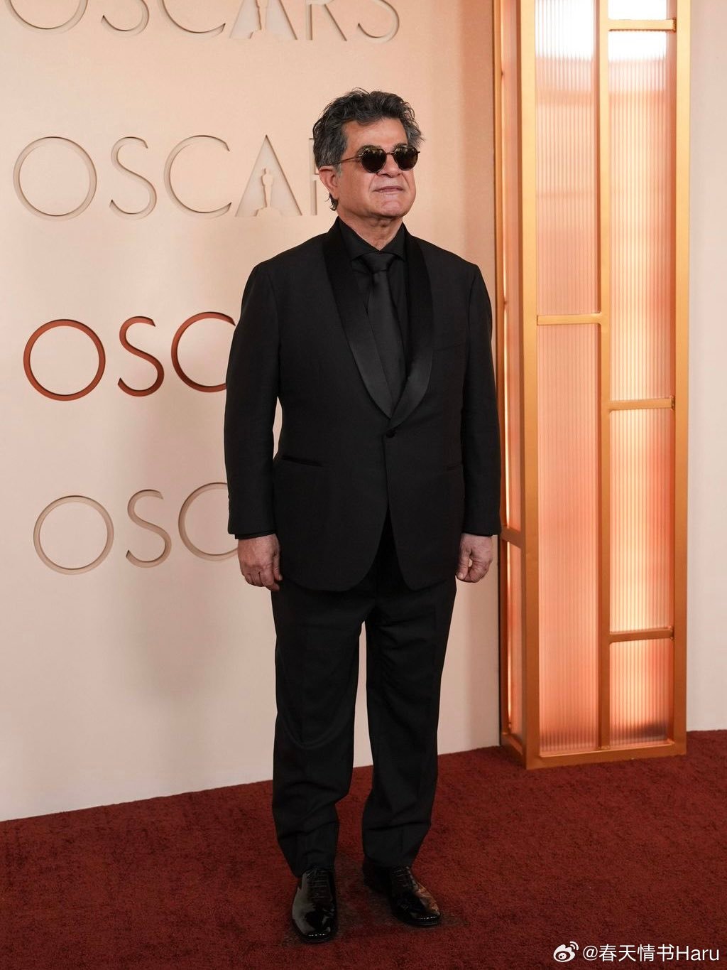 第98届奥斯卡颁奖典礼红毯上的贾法·帕纳西，奥斯卡上没有获得任何一个奖项，颁奖季