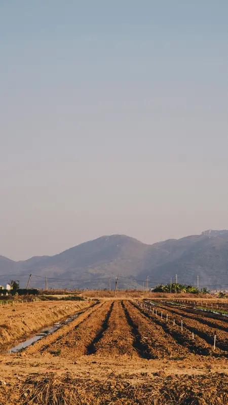 在郊区干了一点点田里的活儿，刨刨土，拔拔草，来回运送砖石啥的。

就一点点儿，我