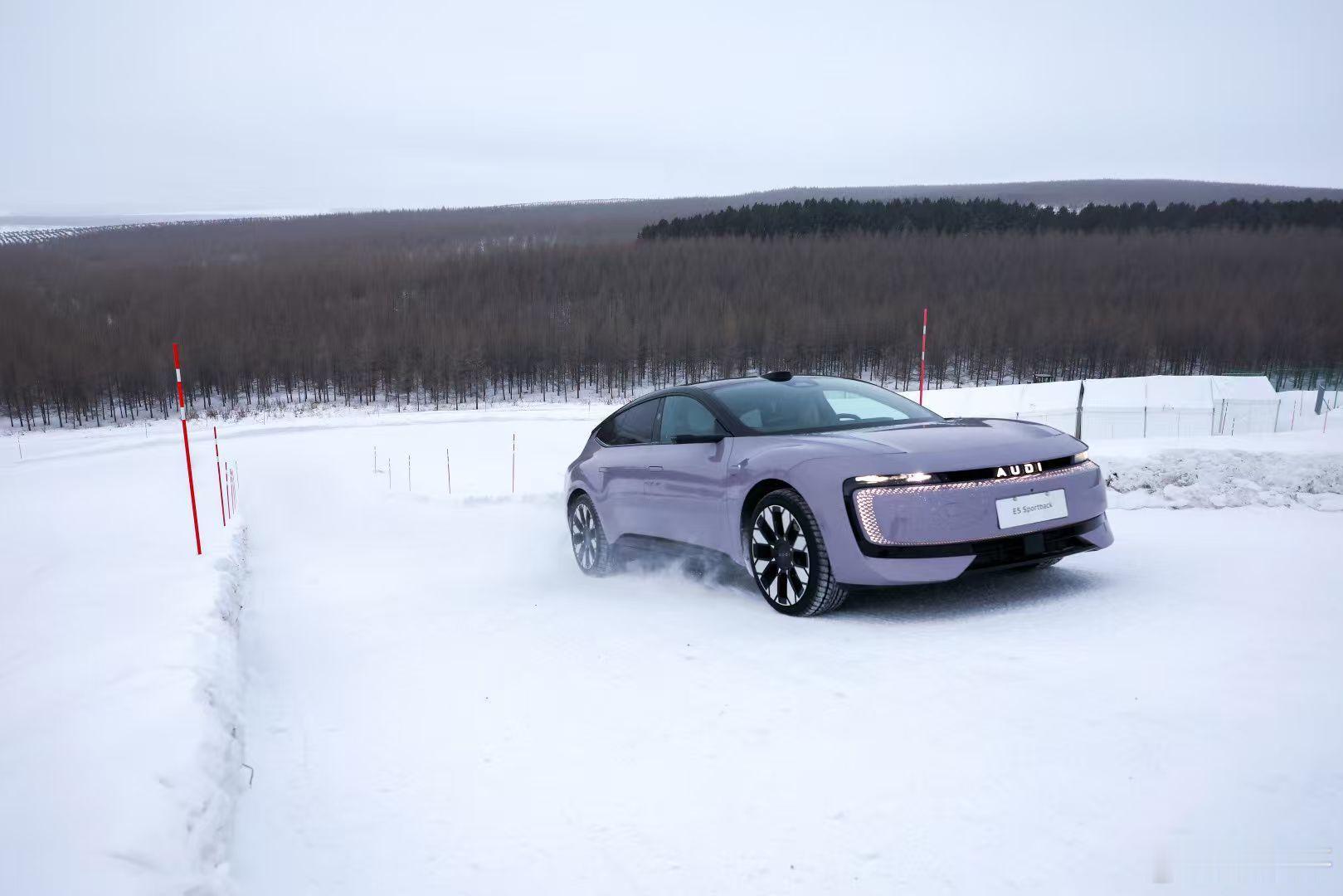 咱就是说电动化的quattro 是不是也能完成之前攀爬滑雪跳台的挑战呢？全世界的