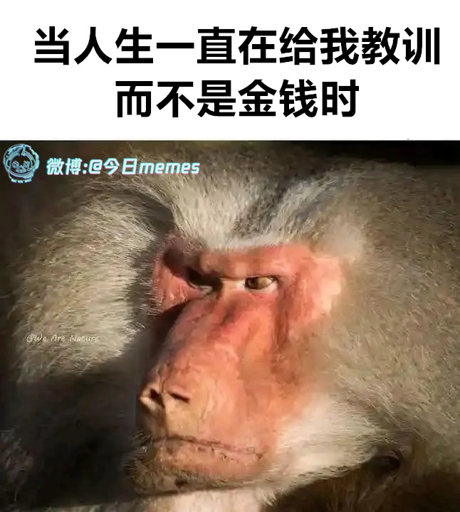 不保底（9gag）今日meme 今日memes