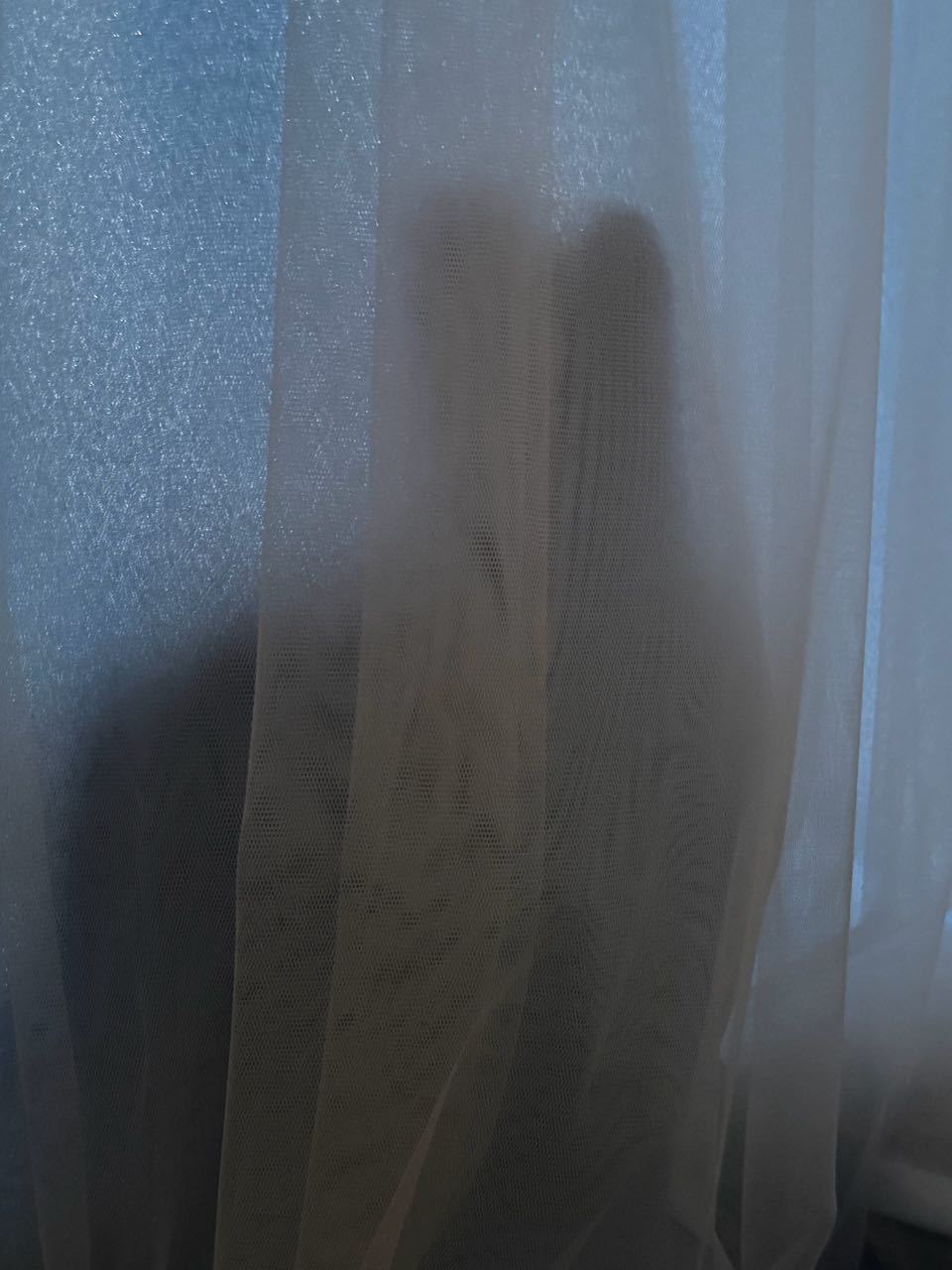 神秘黑影 