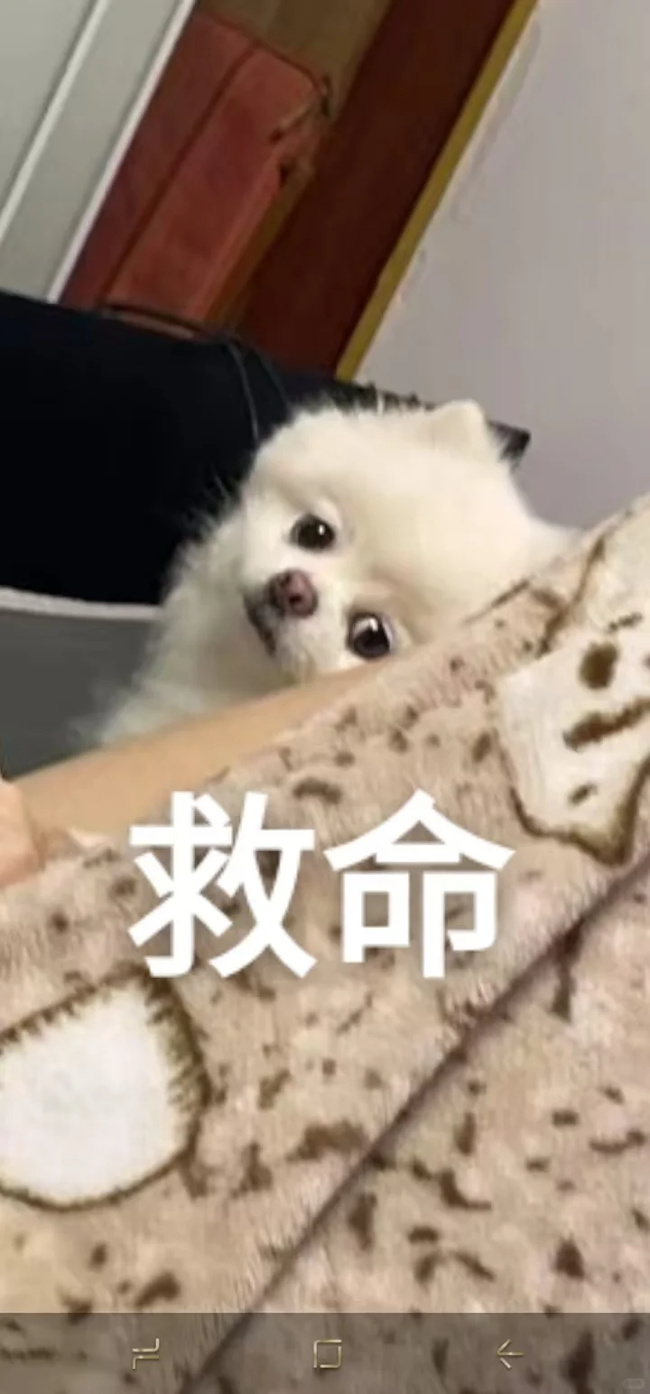 罗设计三连