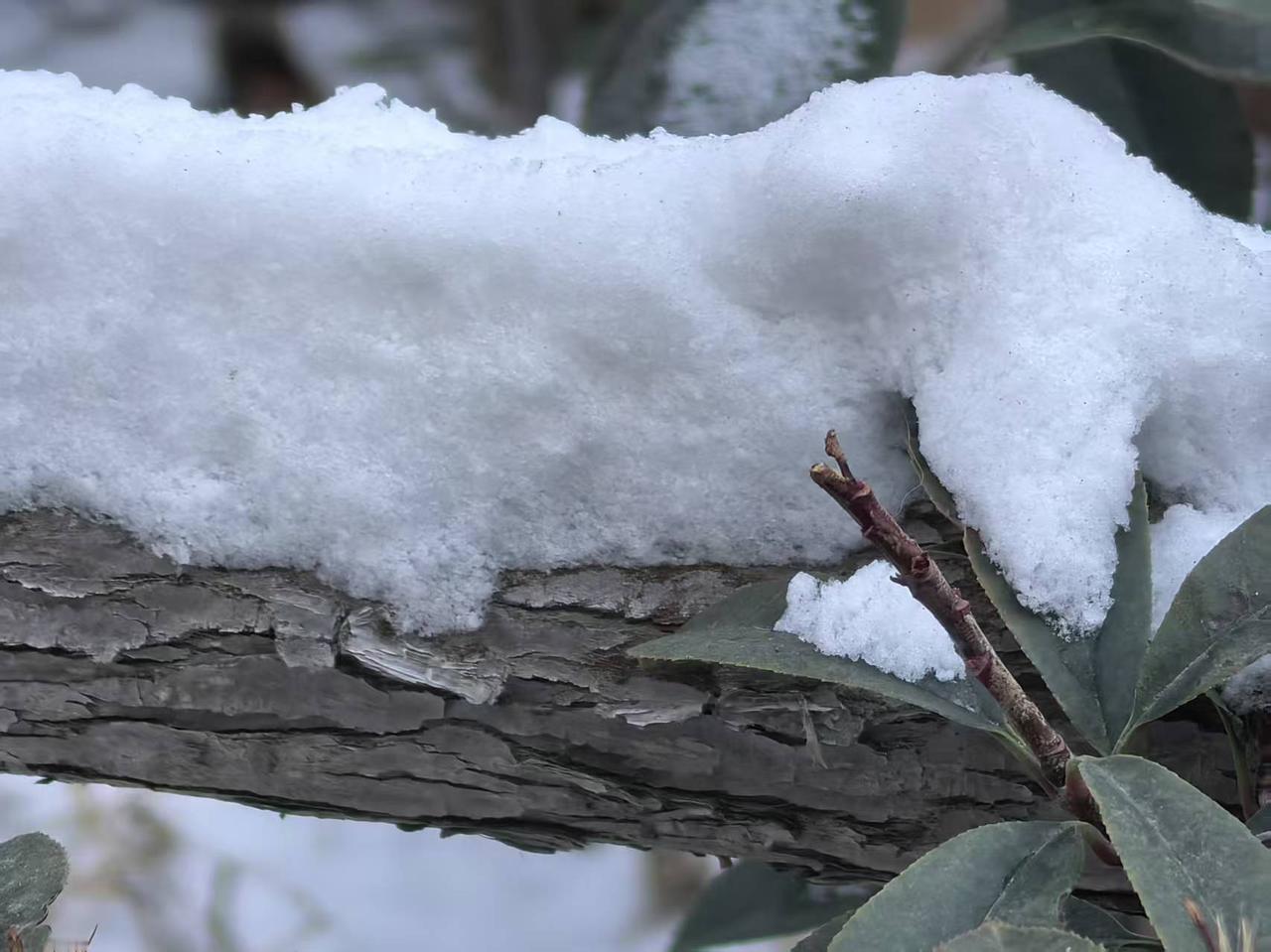 大雪导致路面结冰车辆损毁
   青岛今日天气多云☁️转晴，早晨温度一6度C，体感