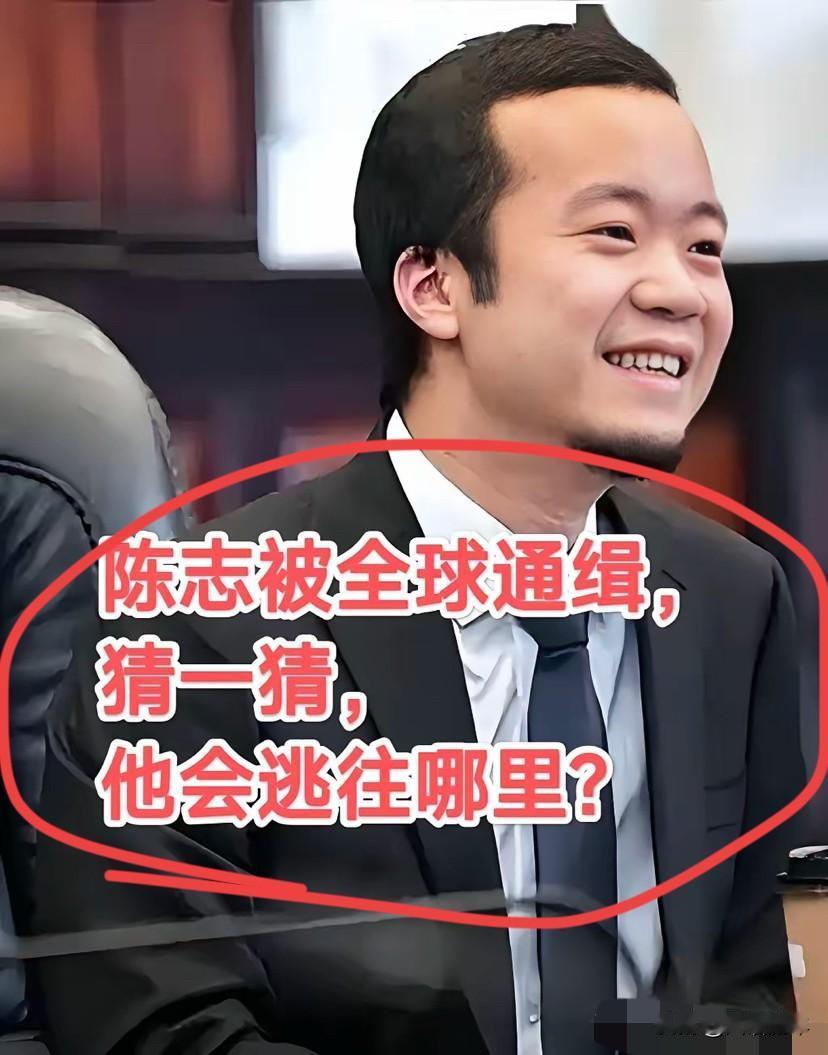 陈志犯了众怒，
必被捉拿归案，他想逃无处可逃。   

陈志因涉嫌犯罪，被美国、