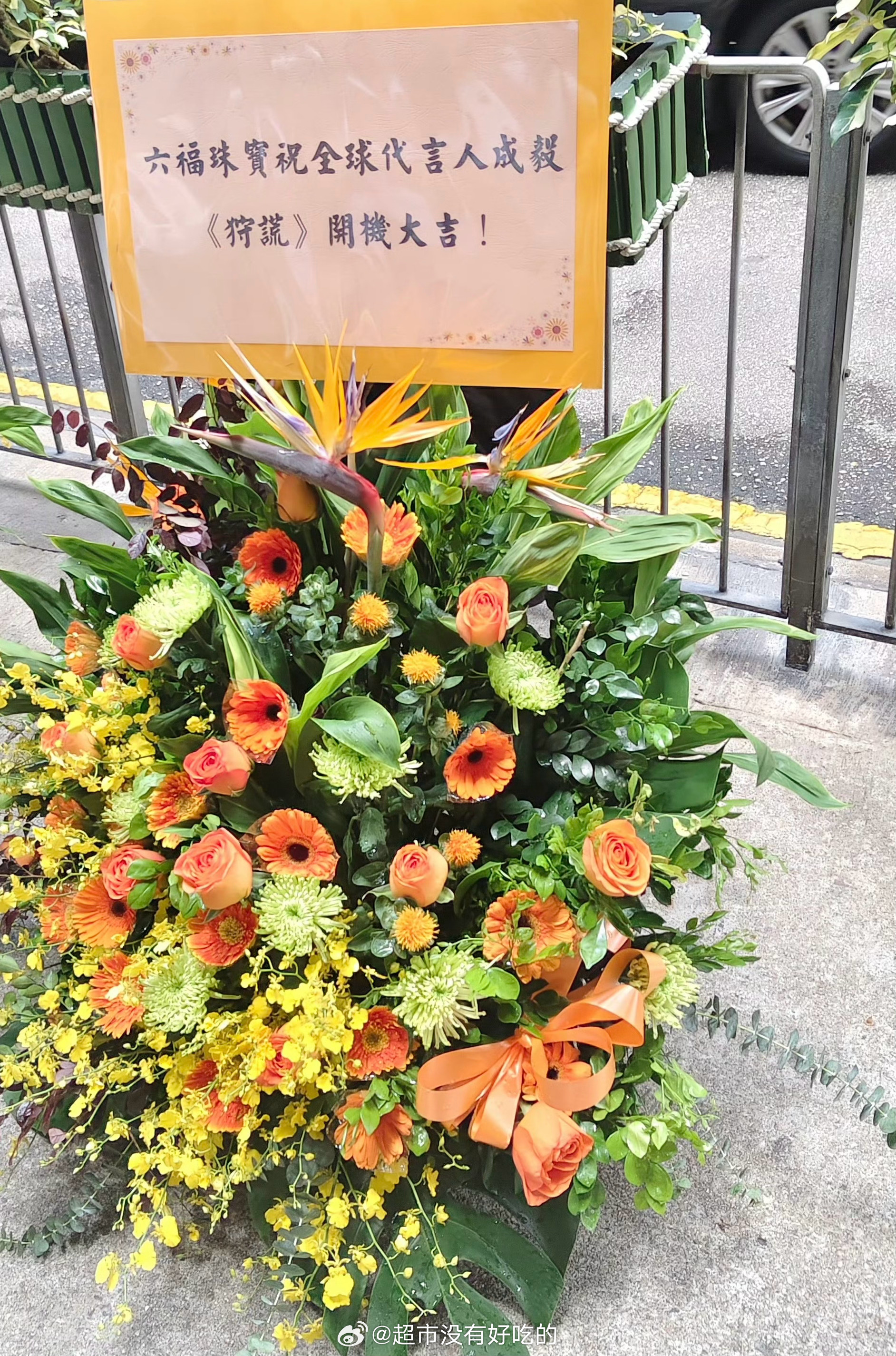 六福珠宝祝全球代言人成毅《狩谎》开机大吉品牌霸霸好宠代言人，期待林sir成毅成毅