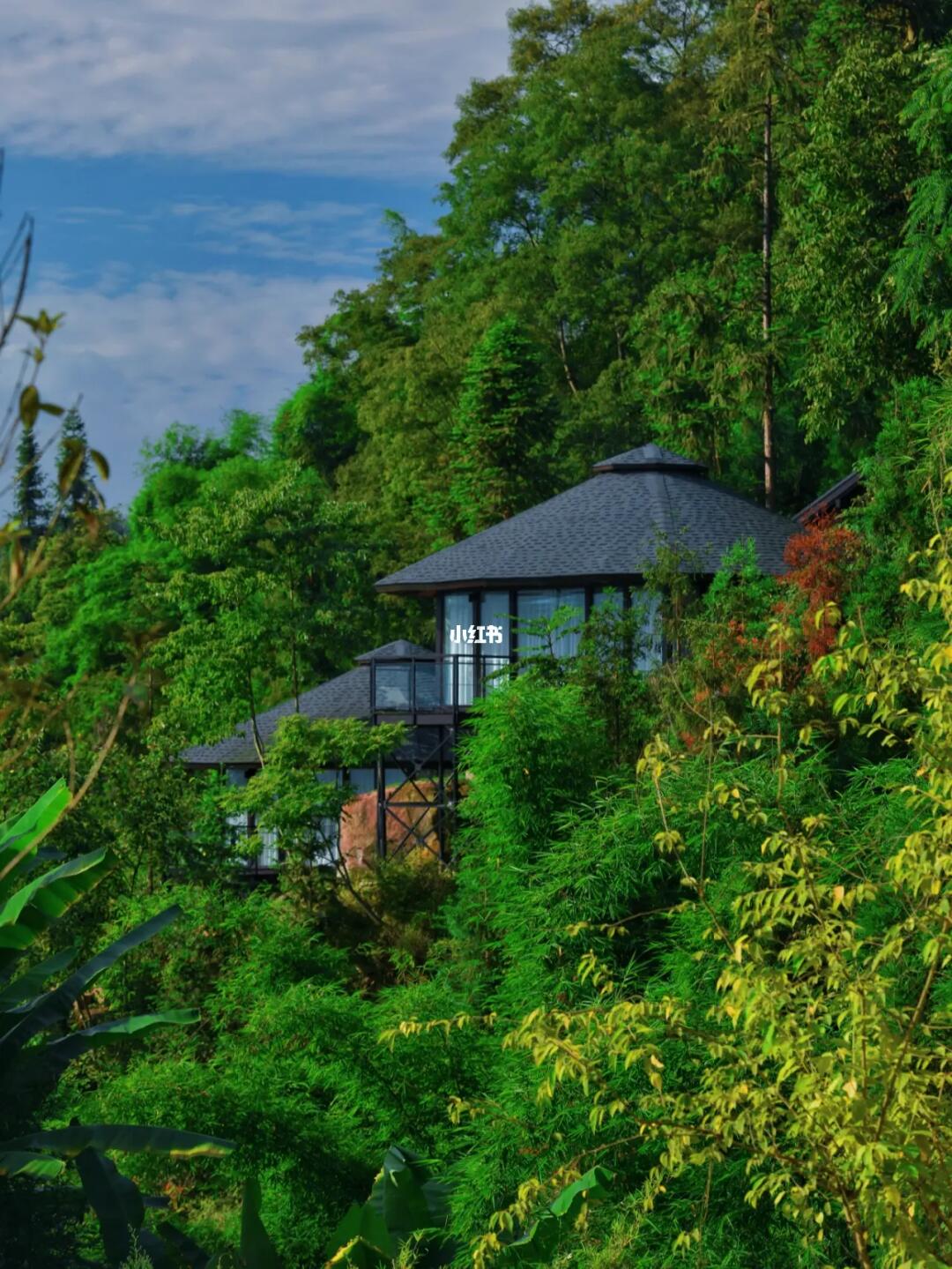 像是住进了巴厘岛，成都周边森林疗愈之旅