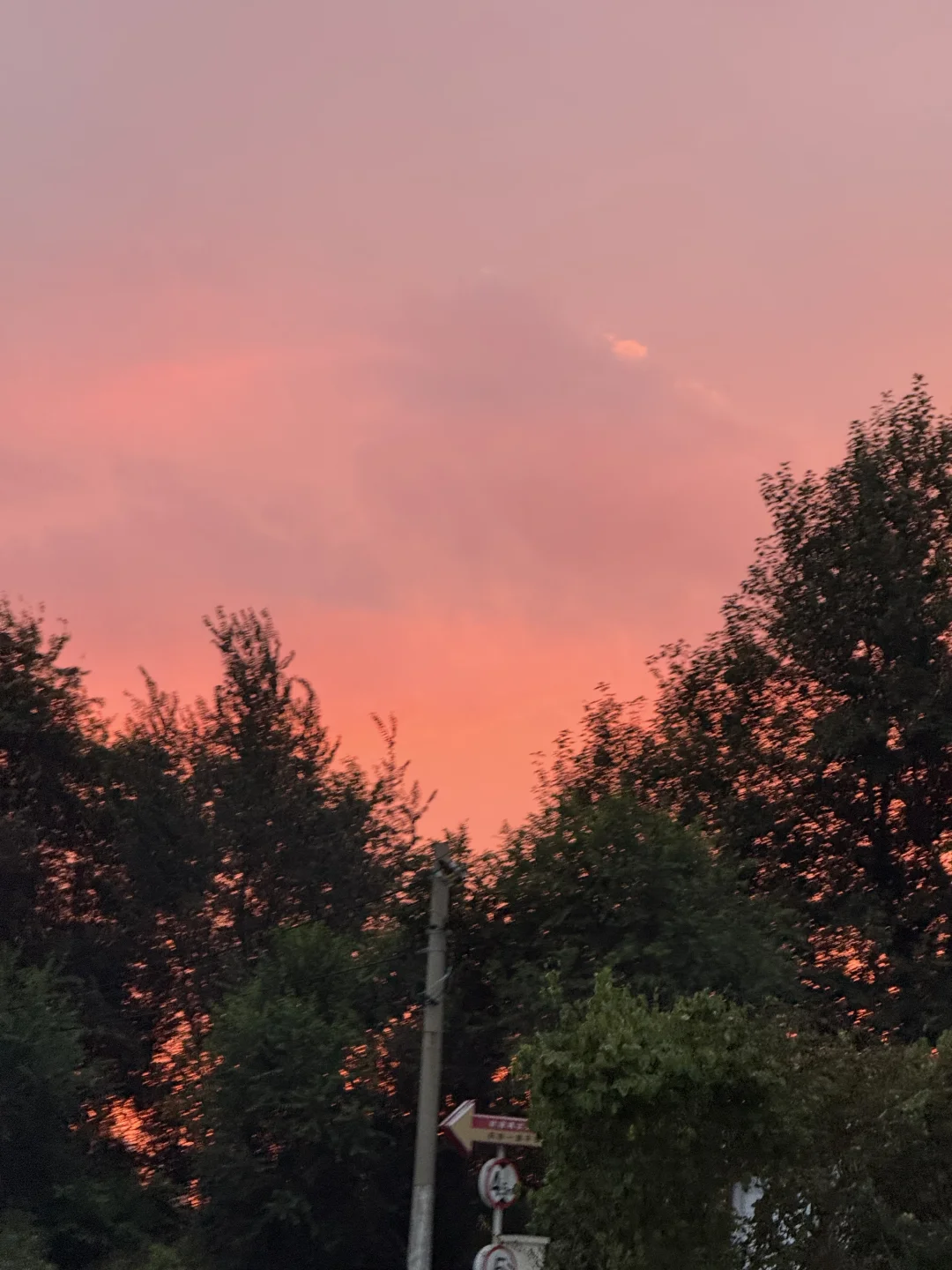 这天的晚霞，很美很美