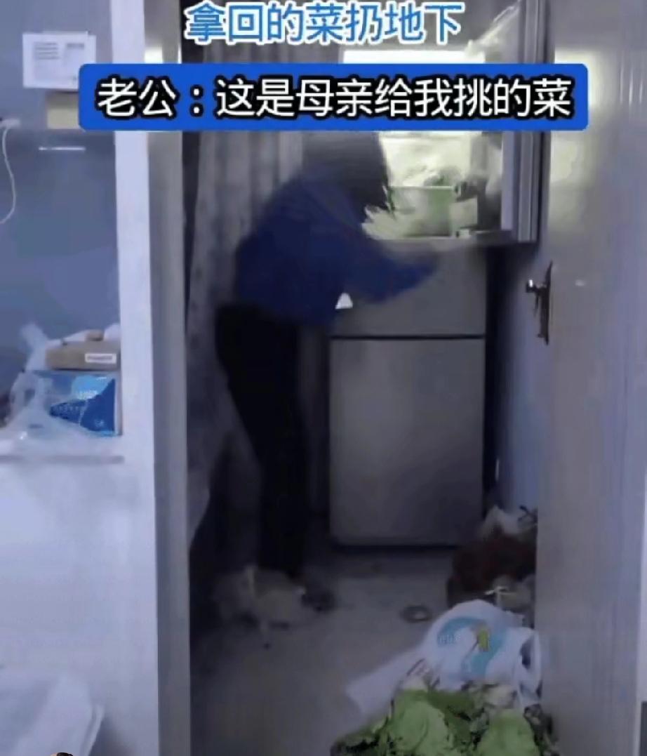 扔过婆婆送的菜的举手，此时也别道德绑架，比起让妻子发疯，浪费一点菜也不算什么。