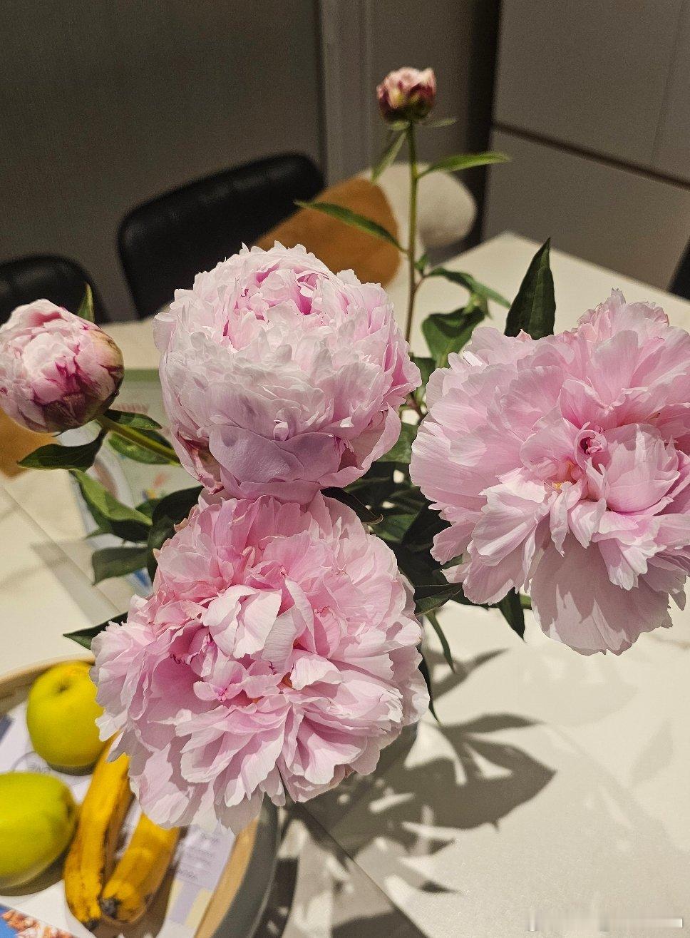 继续开🌸~~
