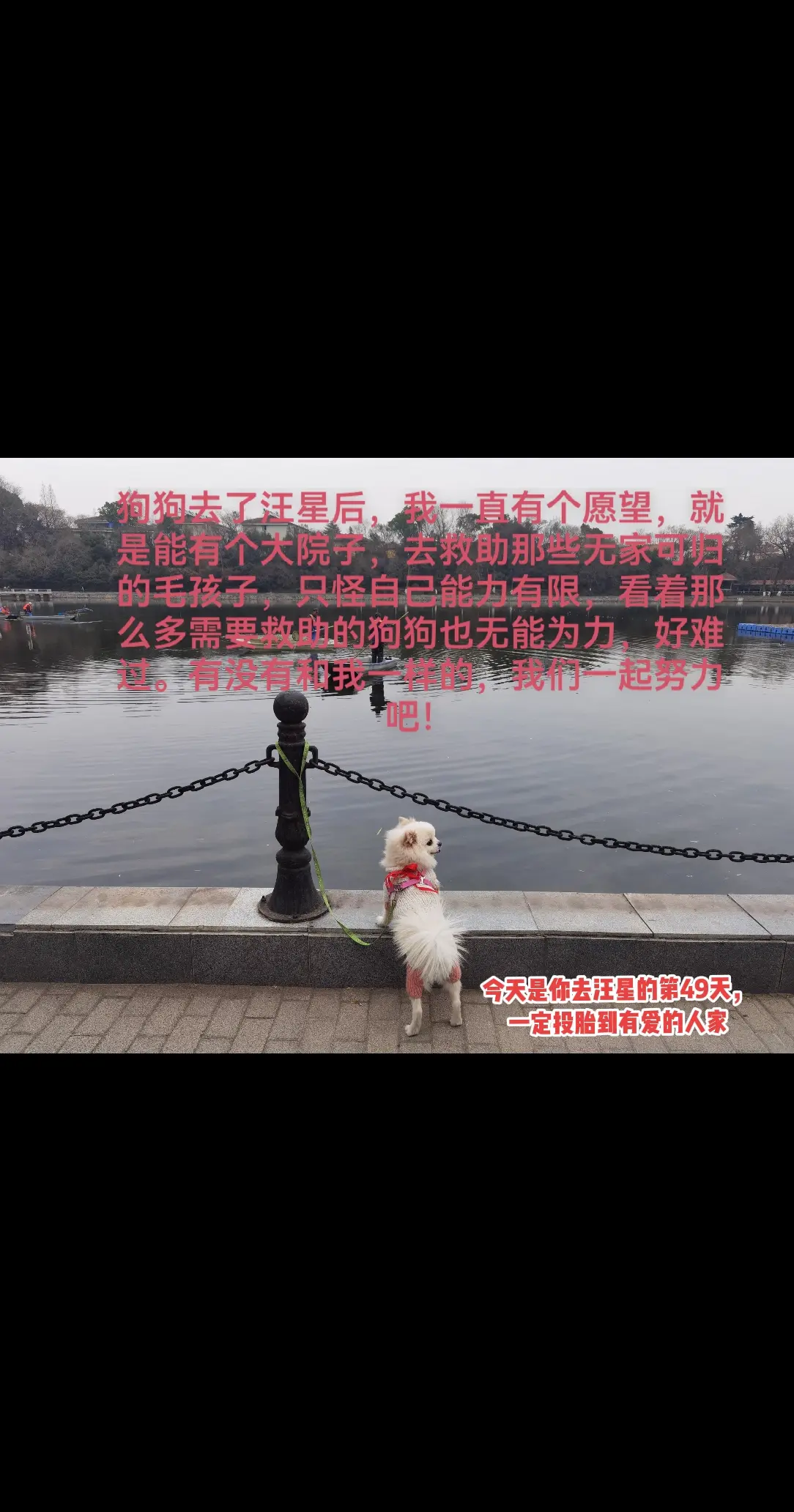 好想你豆豆…宝宝