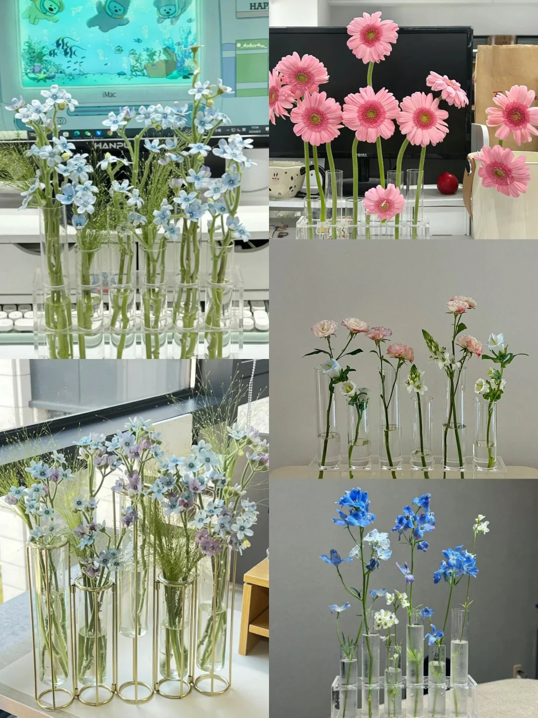 试管里装的不一定是化学实验，也是人间浪漫