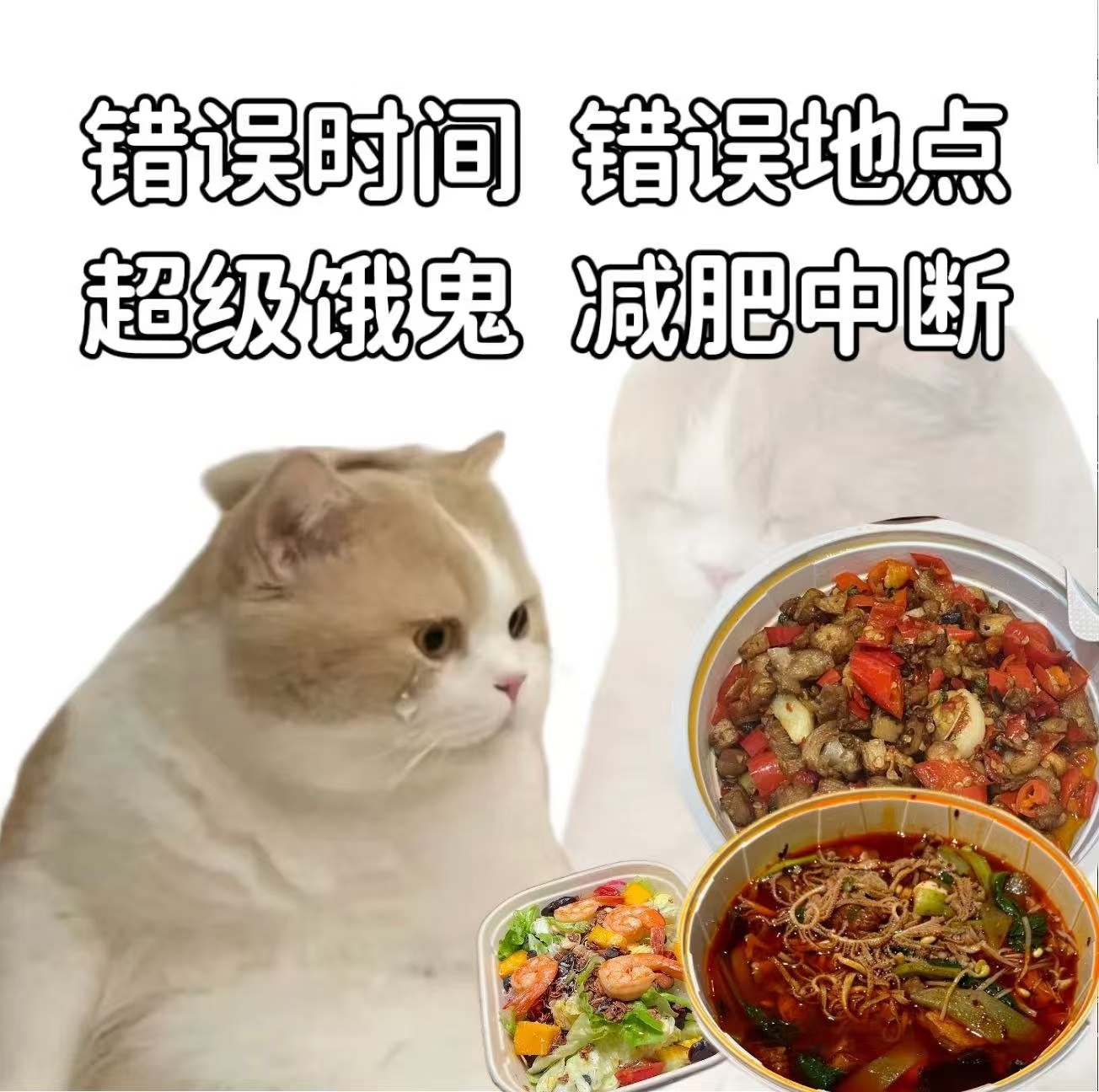 经济日报发文外卖大战该结束了薅羊毛一时爽，但不可能长久，商家不会做赔本做生意。羊