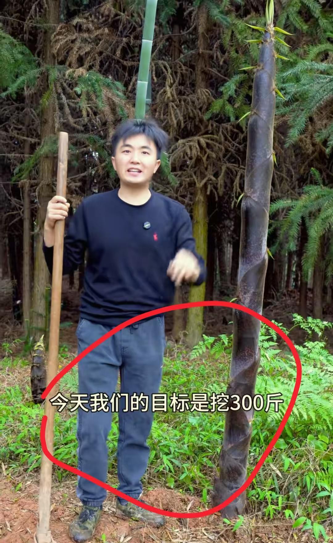 现在全网最糟心的男人就是徐三娃了吧！
不是因为挖不到春笋，也不是因为没人买他的笋