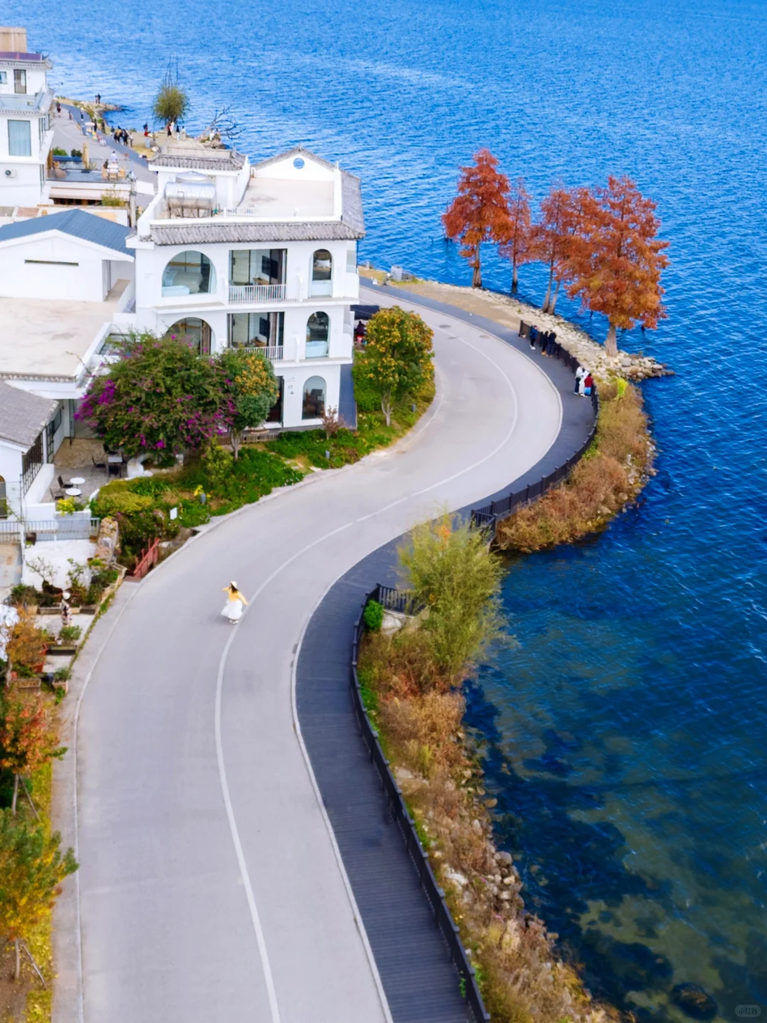 大理刚回❗️洱海环线跟着这份攻略走就对了🚗