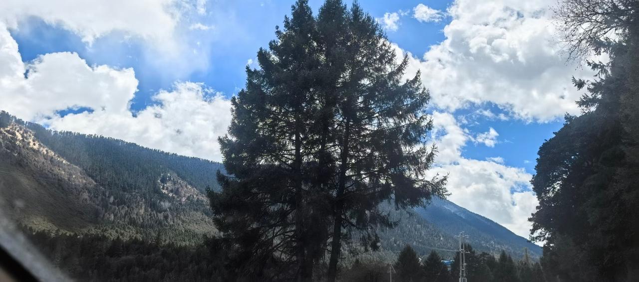 今年春天最想实现的心愿飞雪连天射白鹿，笑书神侠倚碧鸳！这十四部小说是多少人的回忆