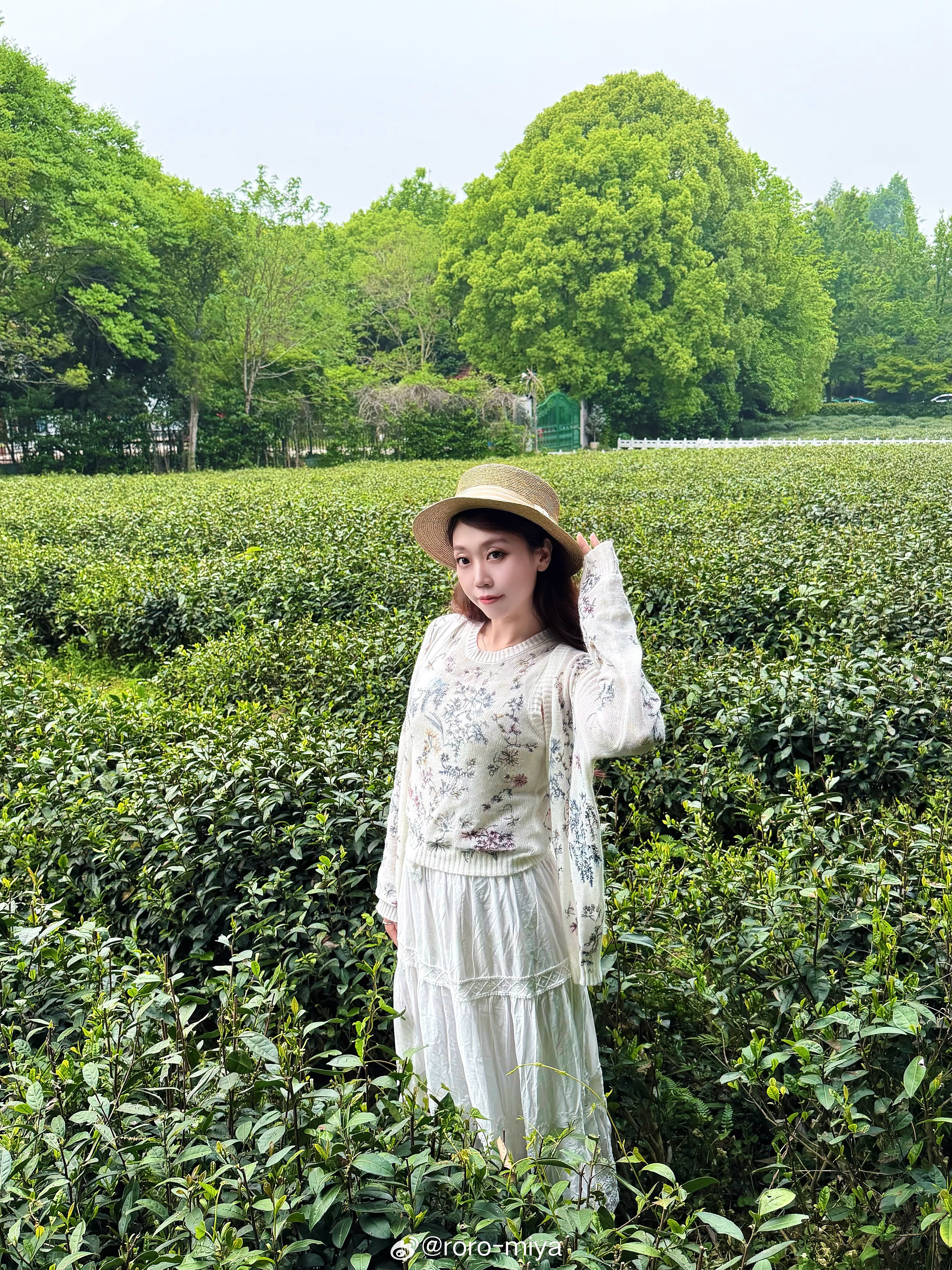 满目清翠，茶香四溢🍵我的日常plog今天穿什么 杭州·西湖风景名胜区