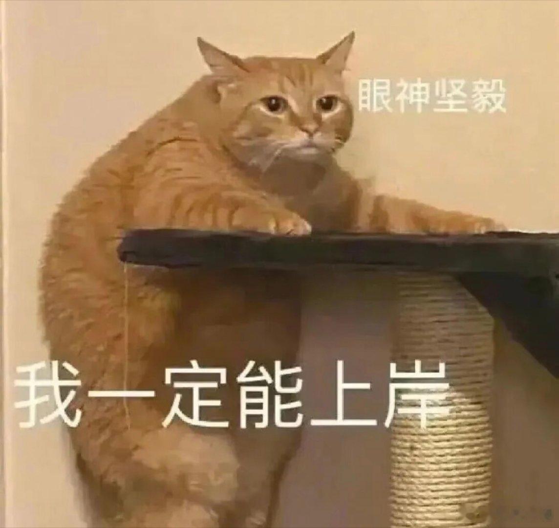 表情包分享。 