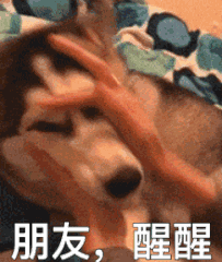泰妹换边睡着了[开摆]，醒醒伙计 ​​​