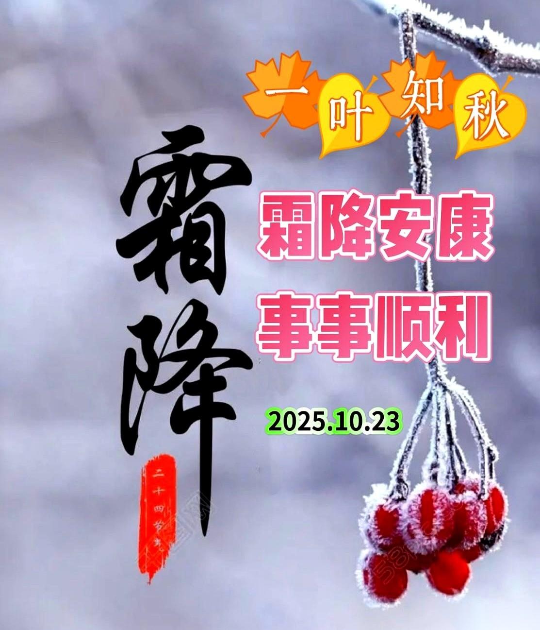 手机日历都没翻，身体先给我报信了。
今早出门，那股冷空气“嗖”地一下钻进脖子，一