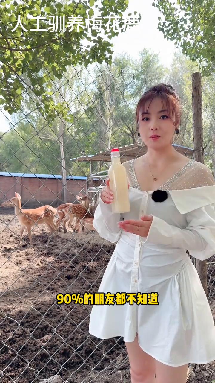 人工驯养梅花鹿。
鹿茸精是什么？90%的朋友都不知道，拿到手以后酒和鹿茸精都分离
