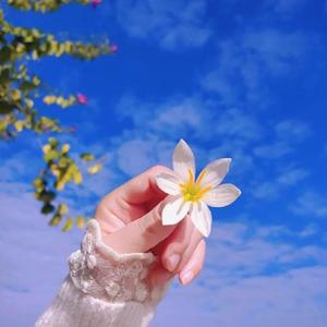 繁花看雨