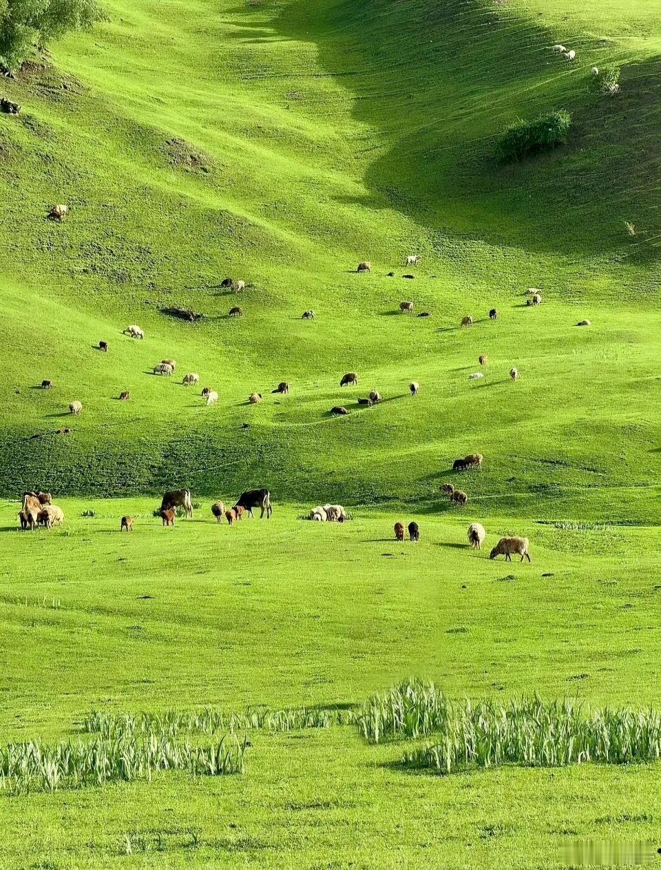 早安早安心语早安,新的一天  早安心语超话  治愈不开心人生感悟人生微语每天说早