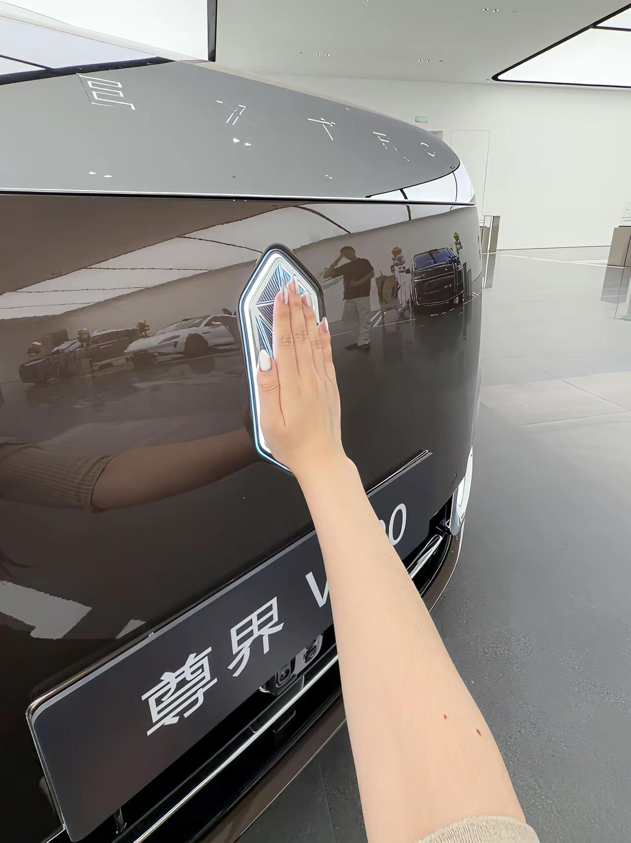 你应该是你见过最大的标，一只手这么大，赛过立标的三叉星辉，超过大B标，直接媲美欢
