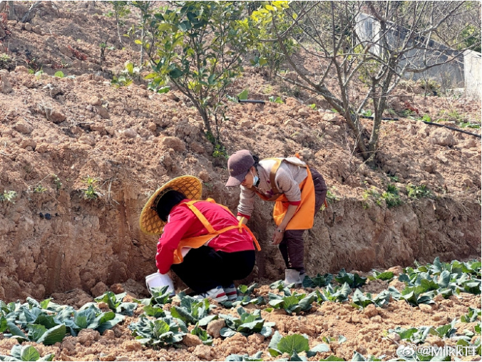 玉环公益农场银发老人受助亦助人 玉环爱馨公益餐厅的老人们，平均年龄六七十岁，从受