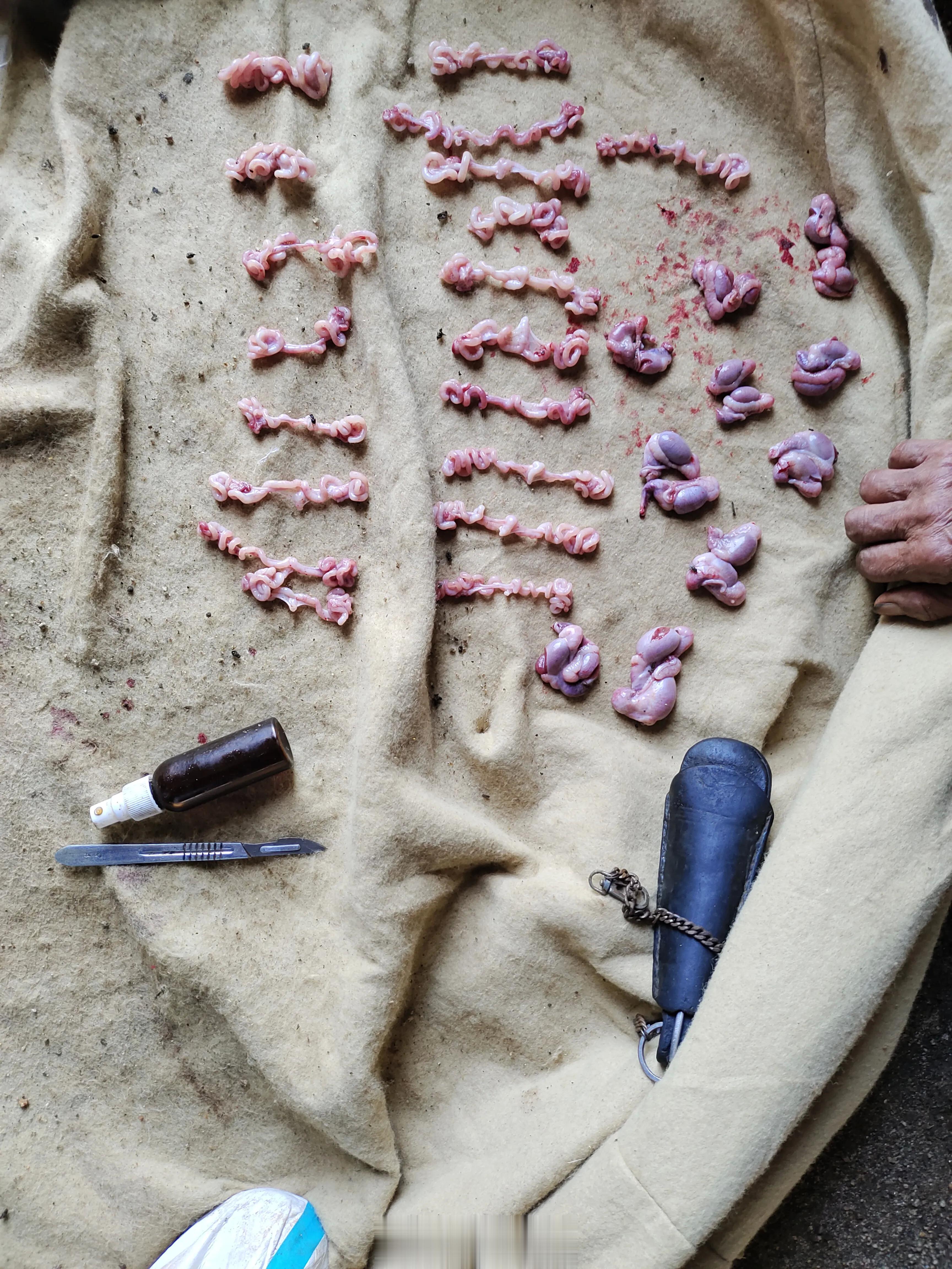 看稀奇了，这啥职业啊？[并不简单] ​​​