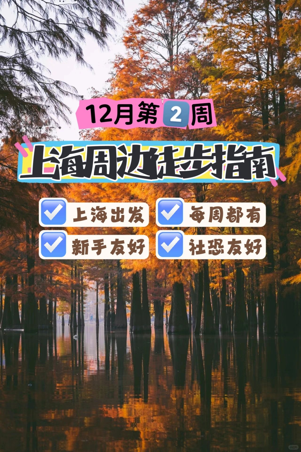 上海周边徒步路线推荐 12月第2️⃣周