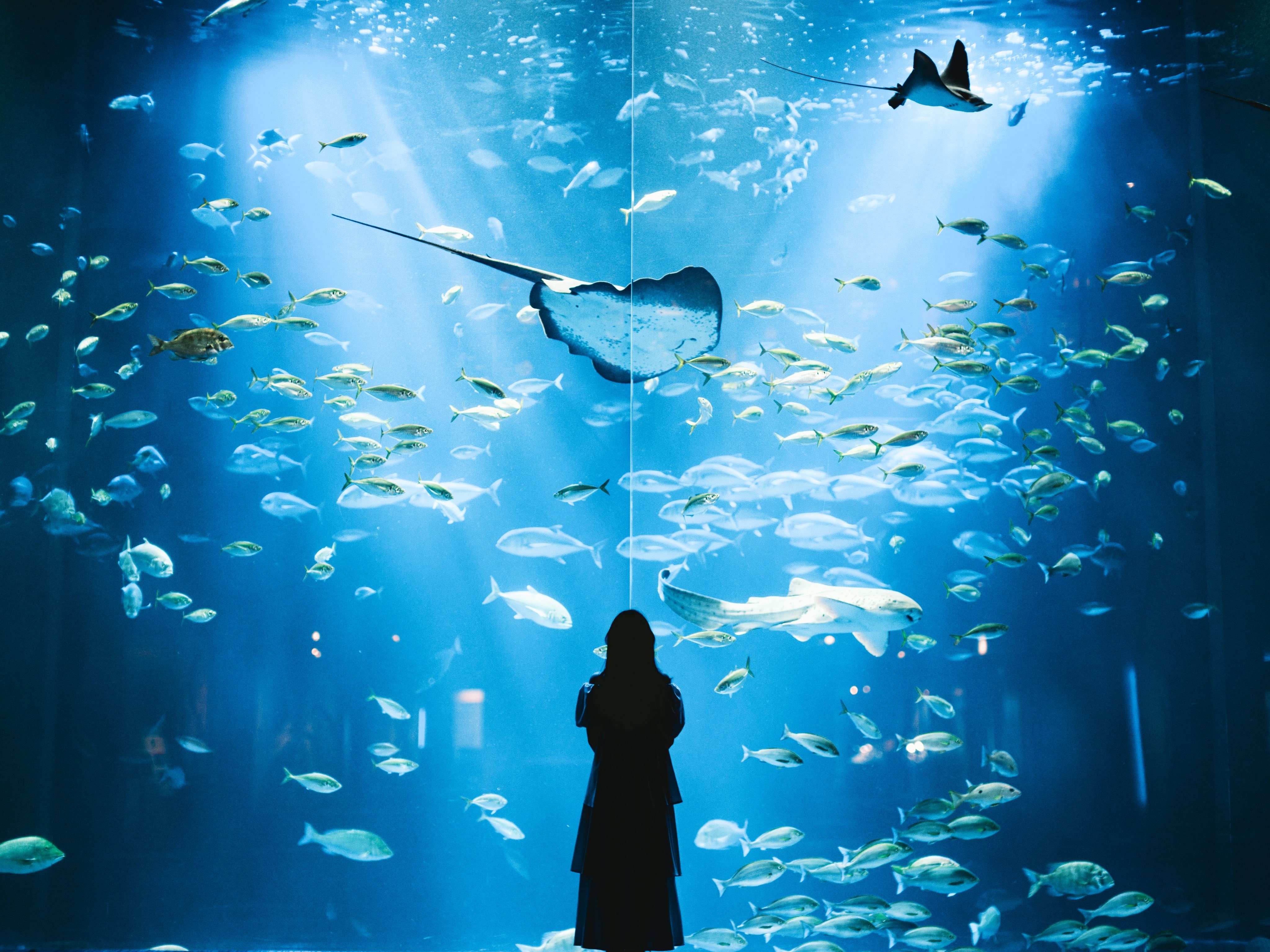 “海的美术馆” （图源：x.com ） 