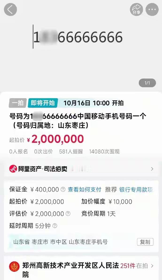 9月30日，郑州高新技术产业开发区人民法院将于10月16日拍卖号码为“16666