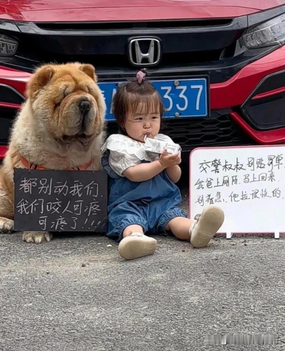 呼叫这俩娃的爸爸，你倒是拉快一点啊，娃娃一盒奶都喝完了，你还没出现!

怎么滴，