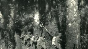 1956年，解放军在云南原始森林深处，发现一群衣不蔽体，蓬头垢面的男男女女。
