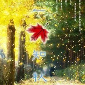 #用一字开头的成语描述秋天景色#一叶知秋。