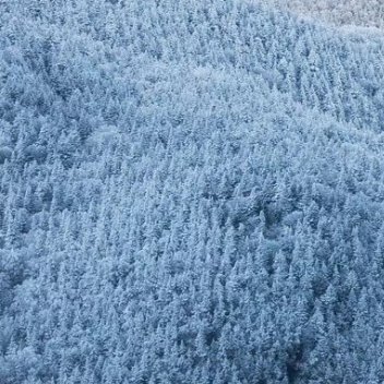 阳光信用 阳光信用每日一善 一缕阳光带来一片光明，一阵微风带来一份舒适;一声问候