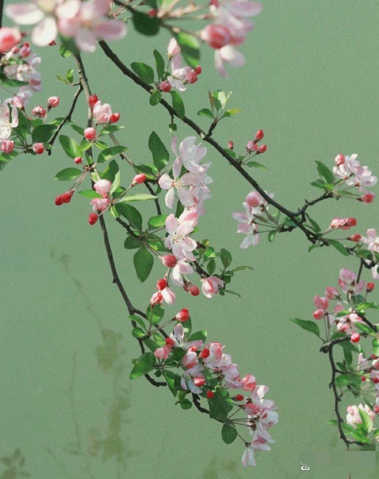 人到中年才明白，夫妻一旦背叛，晚景注定不平凡？

说真的，很多成年人都幻想“日子