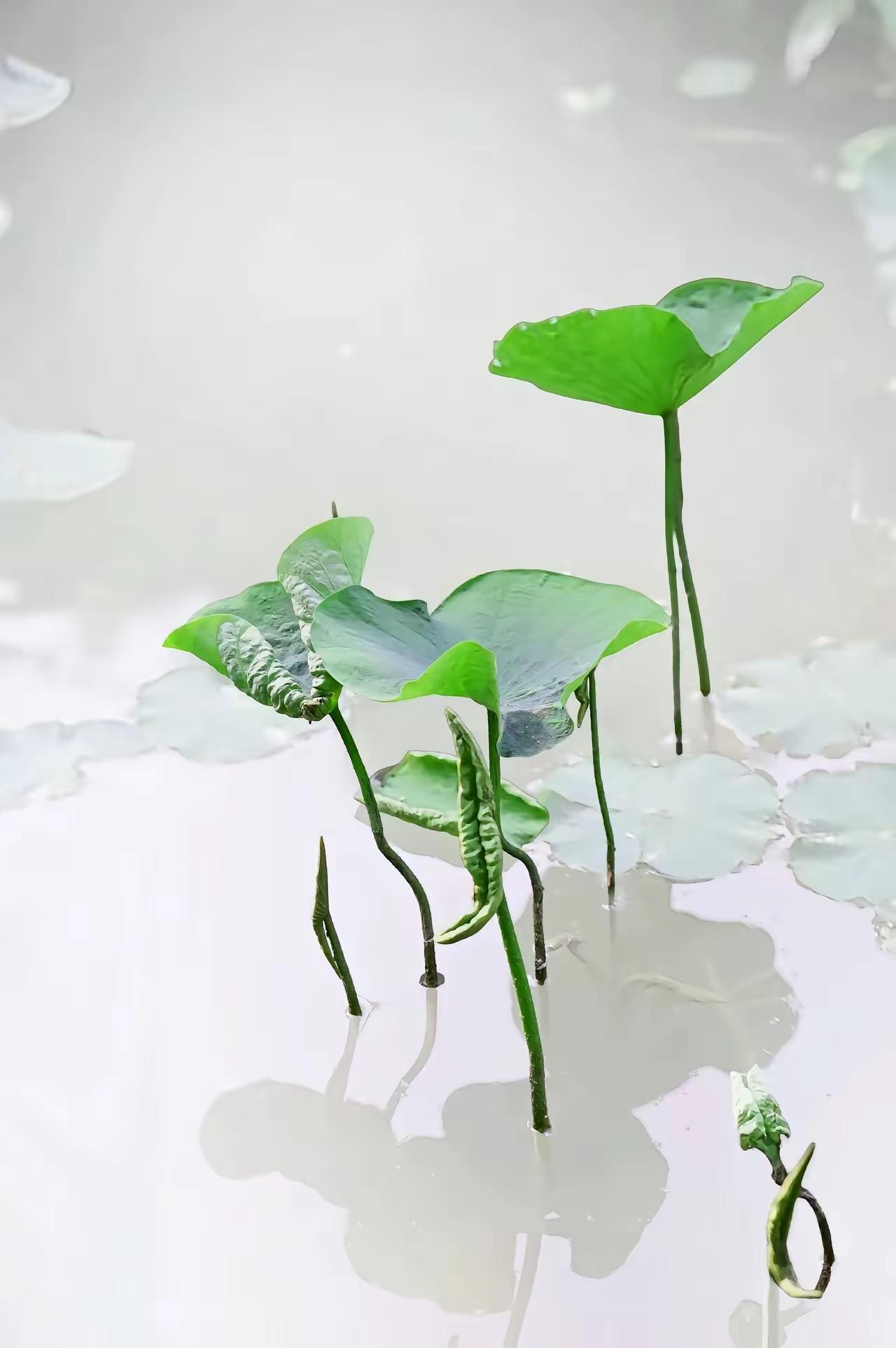 农村自来水费怎么收？自来水入户费用该交多少？供水延伸服务要交多少钱？近日，省发展