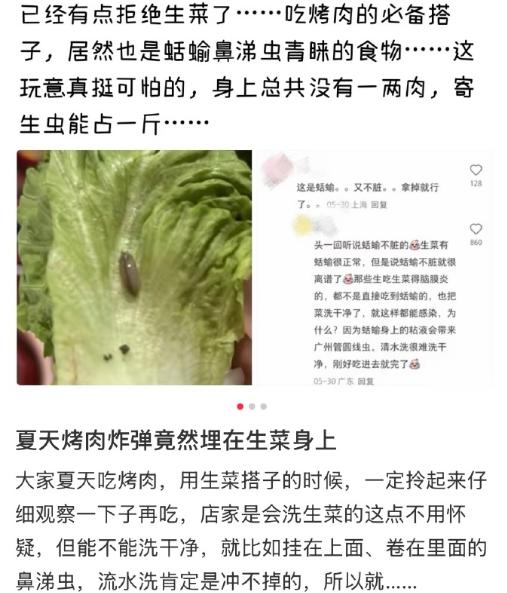 以前烤肉局，生菜是当之无愧的 “灵魂搭子”，解腻又清爽。现在刷到生菜里藏着蛞蝓，