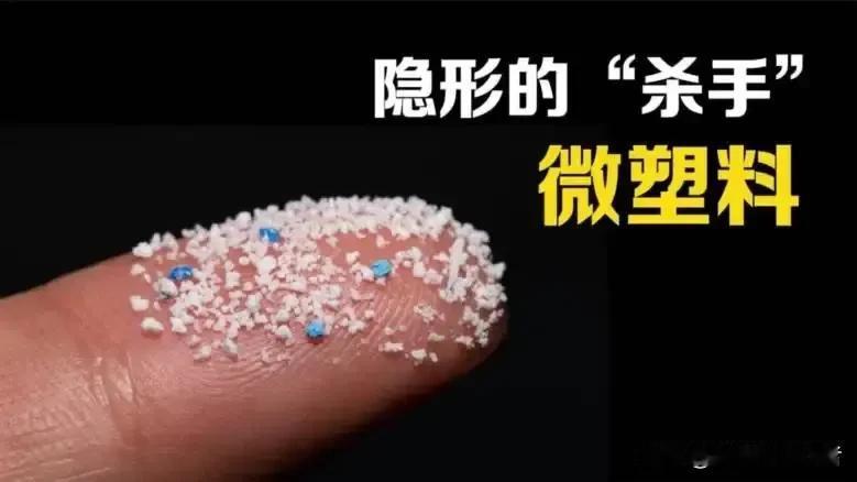 小小塑料暗藏健康危机，日常习惯正在悄悄伤身
 
人人都盼身强体健平安度日，可很多