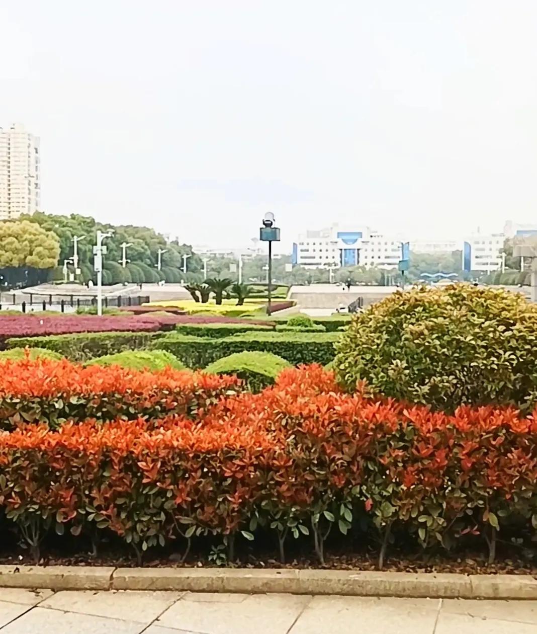 春日生活打卡季春天来啦，咱出门走走。瞅瞅那嫩绿的芽，闻闻那花香。和家人一起，晒晒