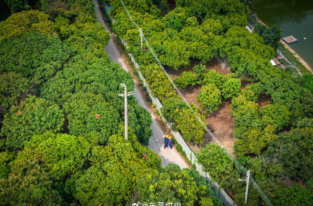 先把心安顿好，再去奔赴生活。不慌不忙地走过清晨，不紧不慢地对待日常，找到属于自己